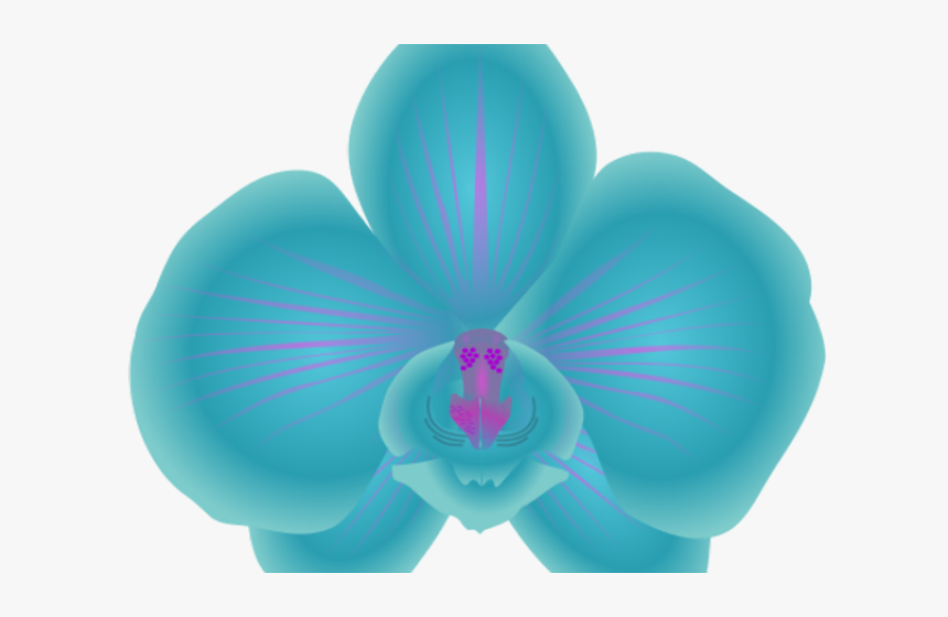 Orchid Clipart Orchid Flower - Blue Orchid Clip Art, HD Png Download, Free Download