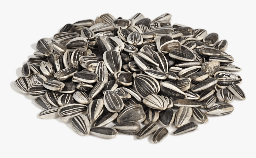 Sunflower Seeds Png Image, Transparent Png, Free Download