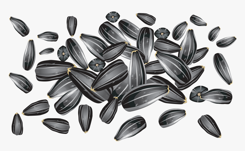 Download Sunflower Seeds Png Clipart - Sunflower Seed Vector Free, Transparent Png, Free Download