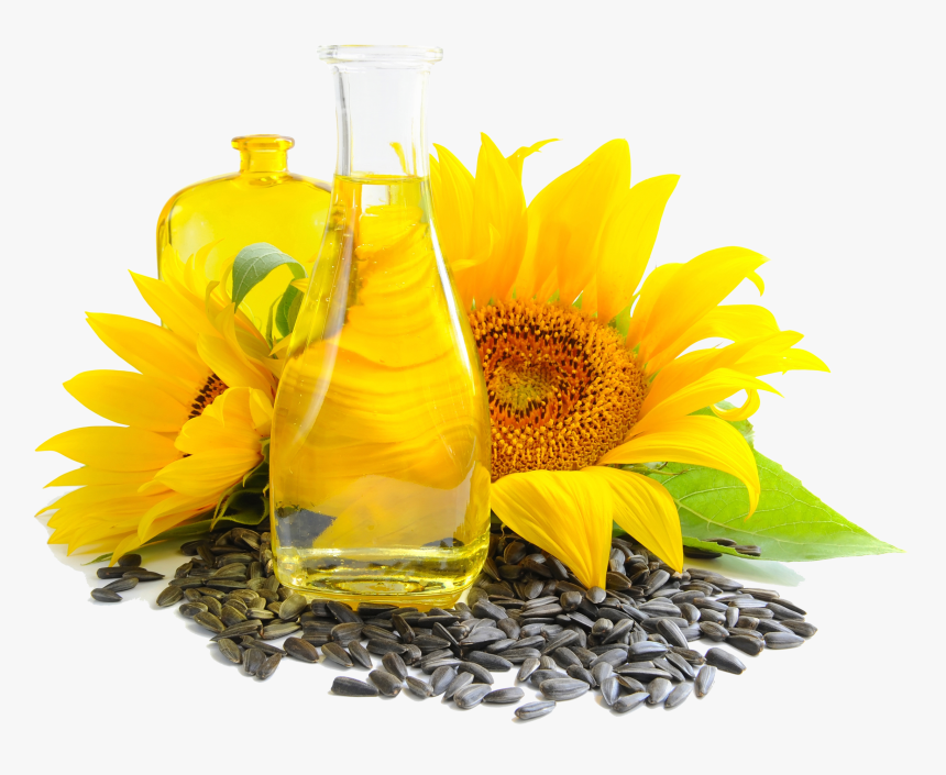 Sunflower Seed And Oil - Buy Sunflower Seed Products, HD Png Download, Free Download