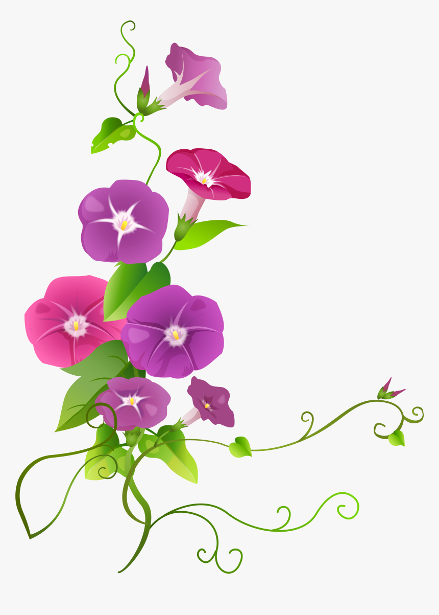Ipomoea Flower Transparent Png Clip Art Imageu200b - Ipomoea Png, Png Download, Free Download