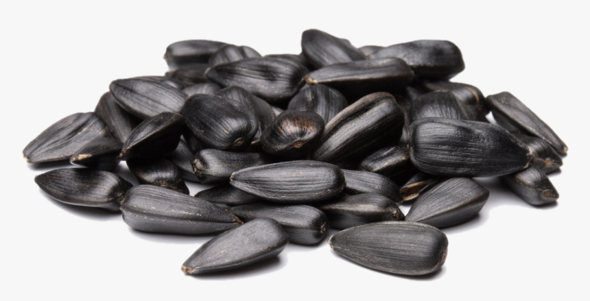 Sunflower Seeds Png - Sunflower Seed Png, Transparent Png, Free Download