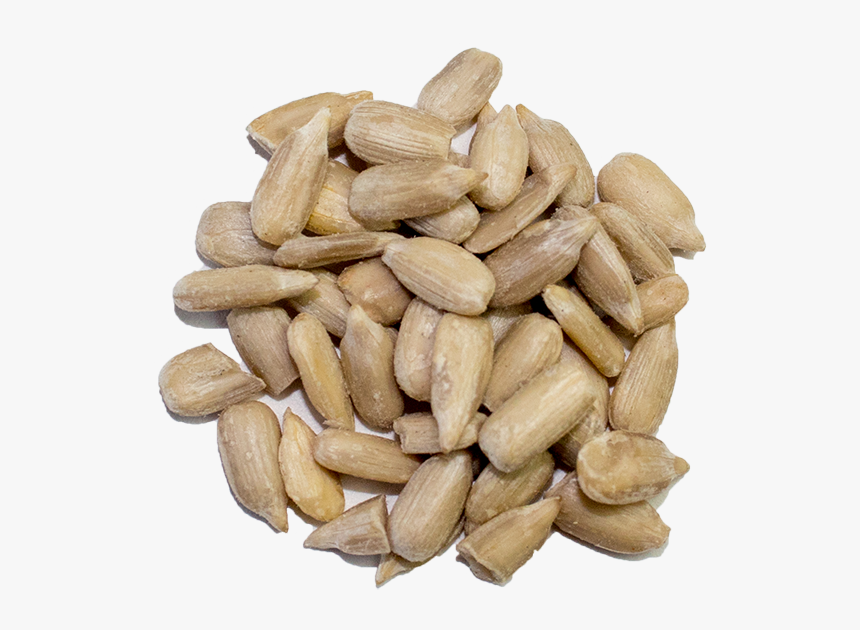 Sunflower Seed Kernels Png, Transparent Png, Free Download