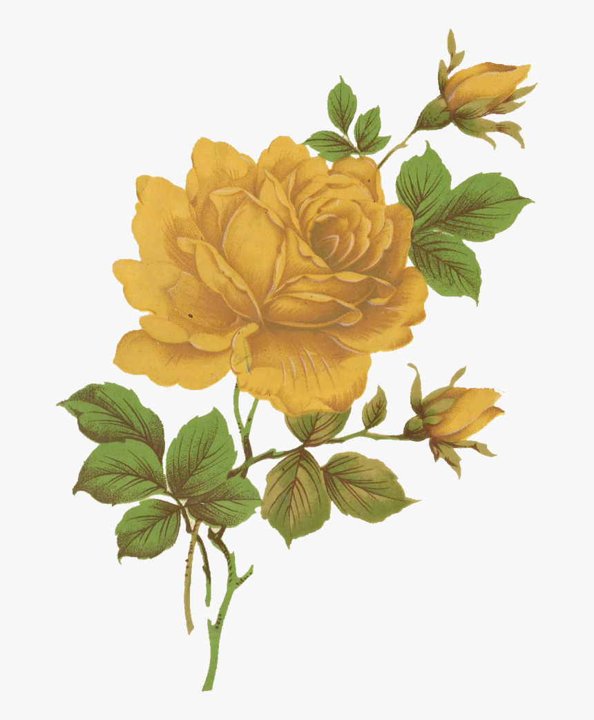 Transparent Vintage Floral Png - Transparent Png Vintage Floral, Png Download, Free Download