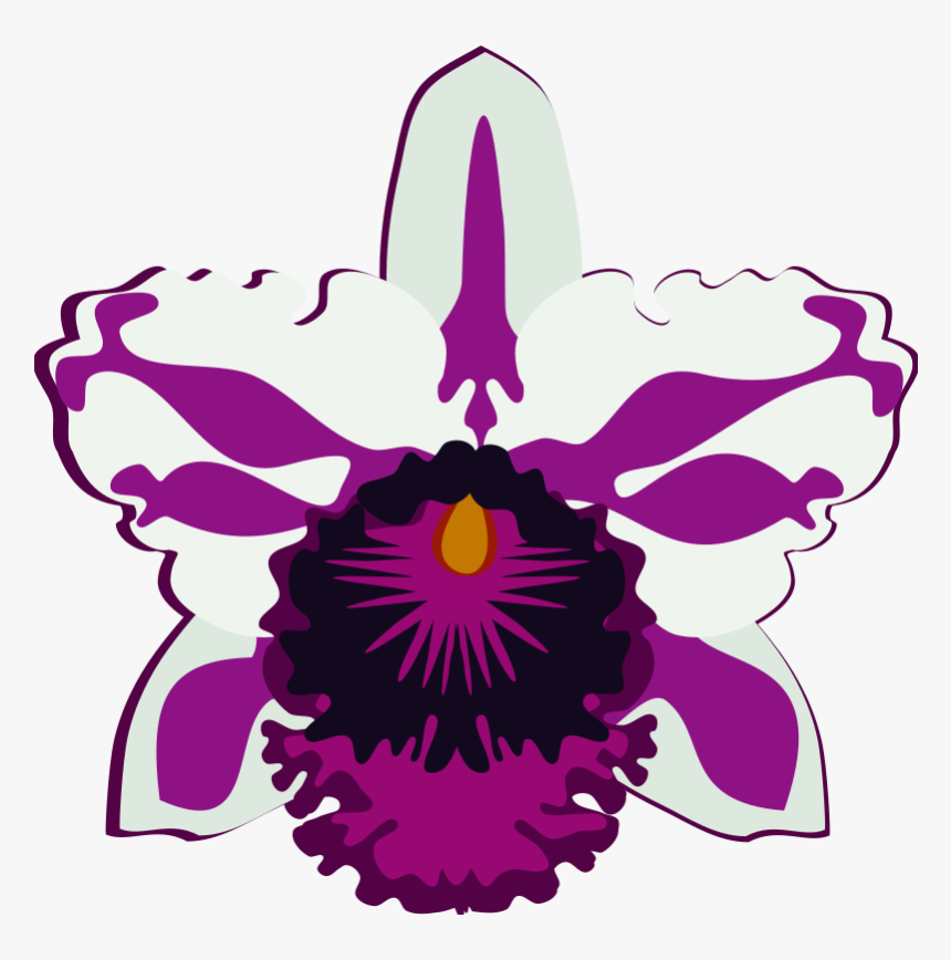 This Png File Is About Orchid , Cattleya , Orquidea, Transparent Png, Free Download