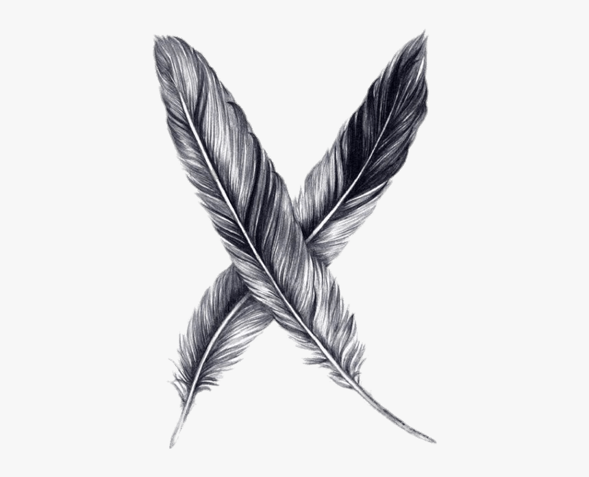 Plumas Dibujo - Drawing Black And White Feather, HD Png Download, Free Download