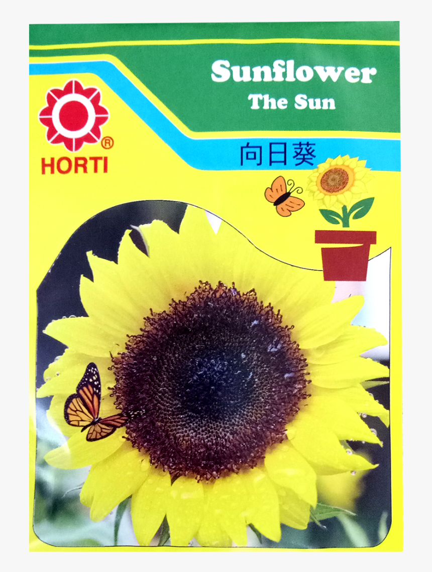 Sunflower, HD Png Download, Free Download