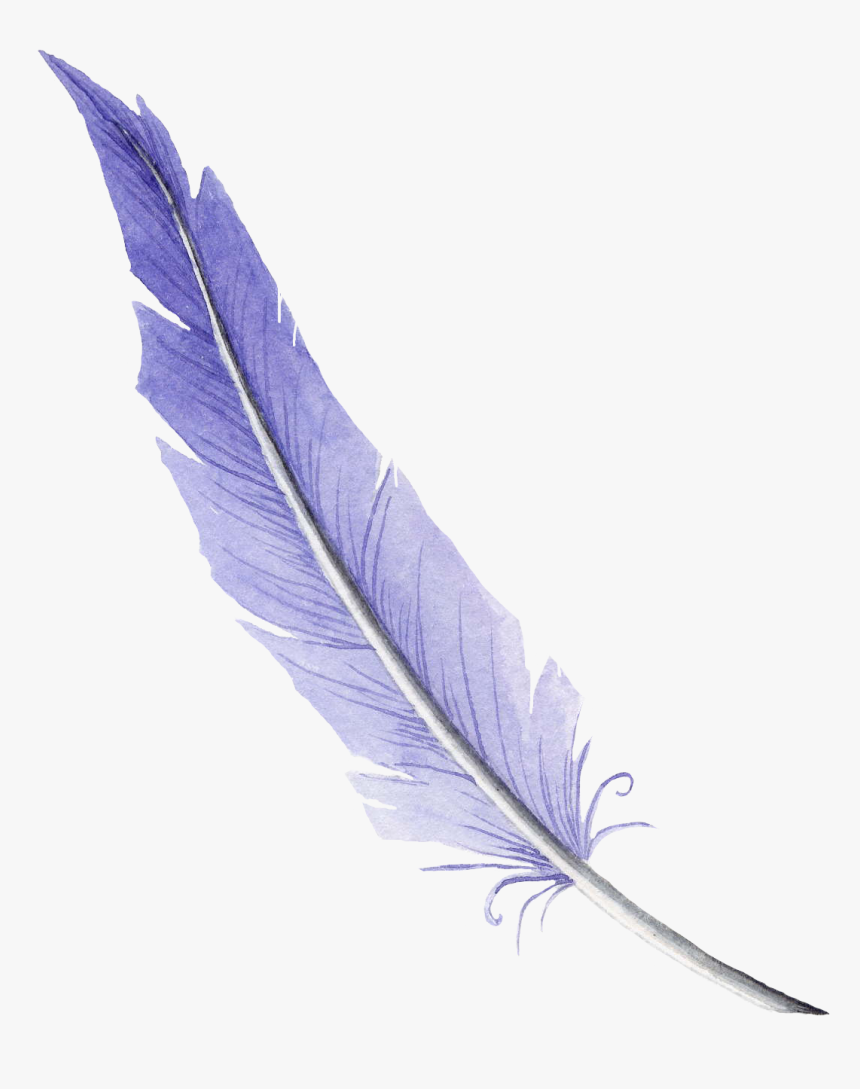 Plumas Para Escribir Png Sin Fondo - Dibujo Pluma Png Sin Fondo, Transparent Png, Free Download