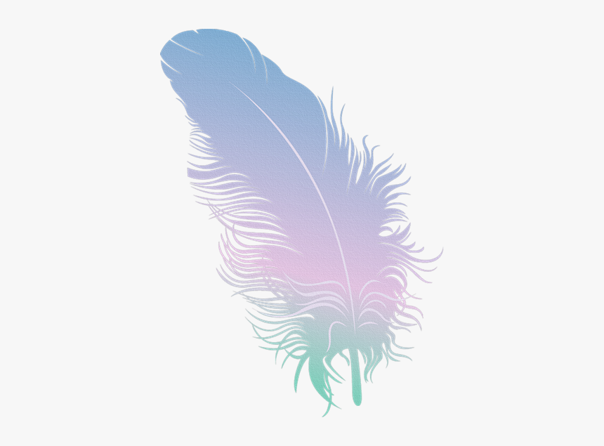 Plumas de colores png