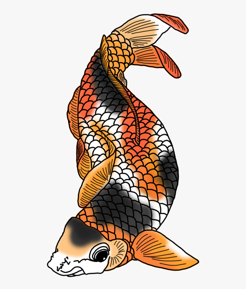 Black White Red Orange Koi Fish - Red Black And Orange Koi Fish, HD Png Download, Free Download