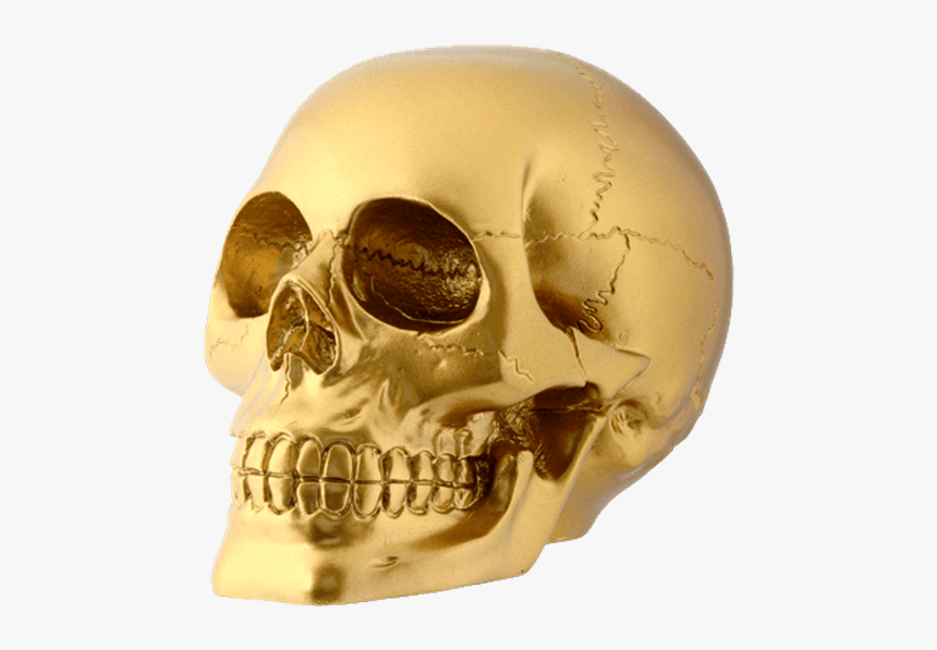 Skull Human Skeleton Human Head - Gold Skull, HD Png Download, Free Download