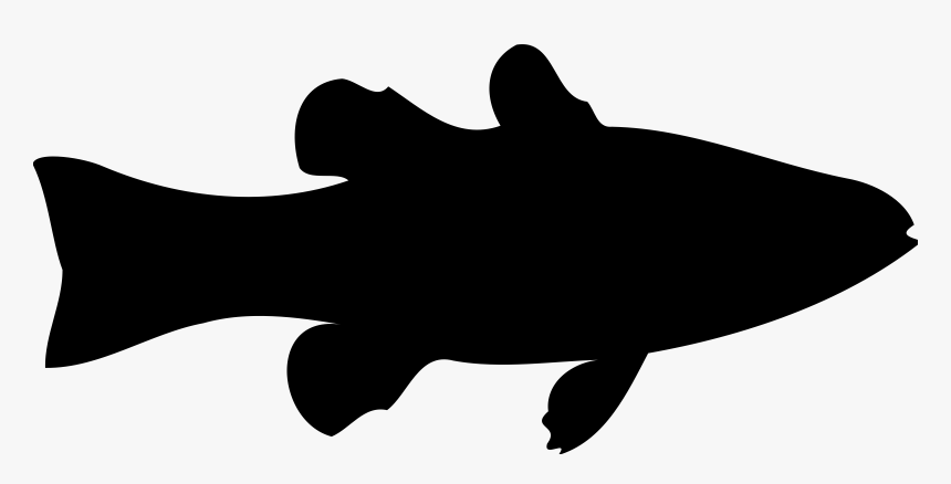 Fish Silhouette Png - Transparent Silhouette Fish Clipart, Png Download, Free Download