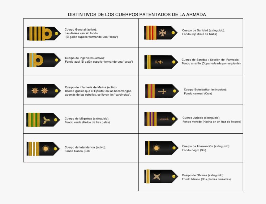 Distintivos De Los Cuerpos Patentados De La Armada - Galones De La Marina Española, HD Png Download, Free Download