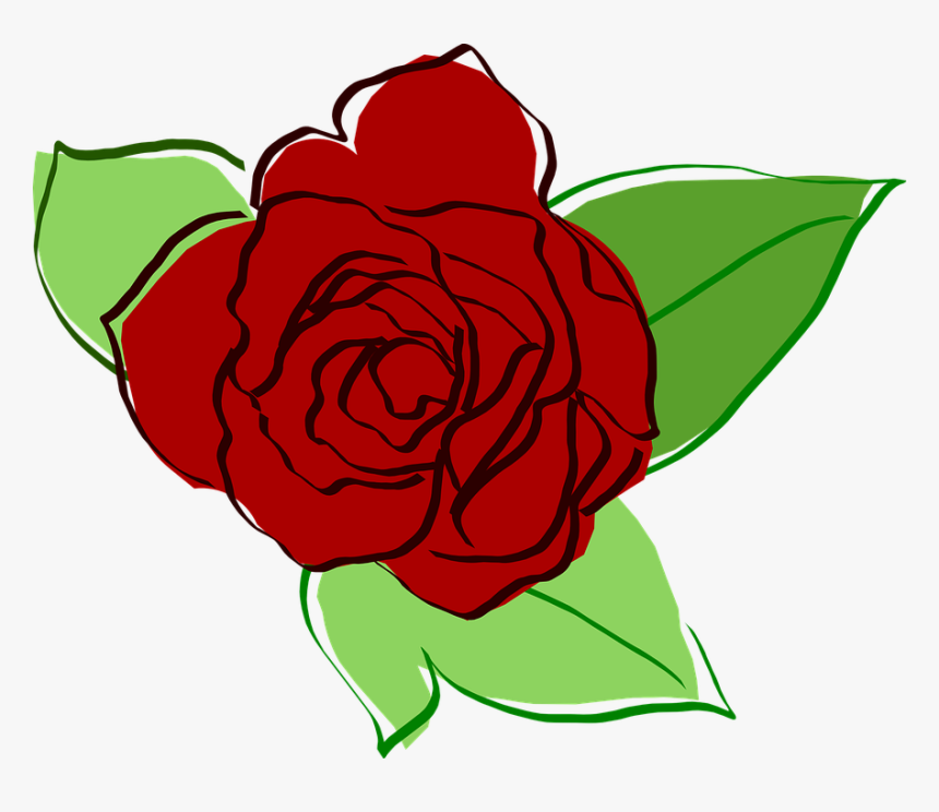 Rose, Red Rose, Flower, Flora, Green Leaf, Nature, - Flower Rose Drawing Png, Transparent Png, Free Download