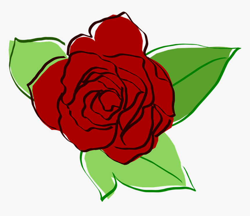 Rose Red Rose Flower Flora Green Leaf Nature Flower Rose Drawing Png Transparent Png Kindpng