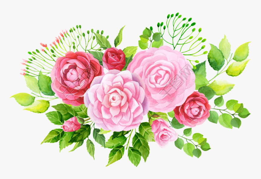 Garden Roses, Graphic Design, Flower, Pink Png Image - Rose Flowers Vector Png, Transparent Png, Free Download