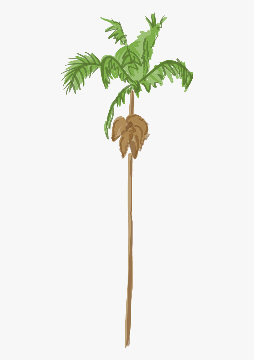 Palm Tree, HD Png Download, Free Download