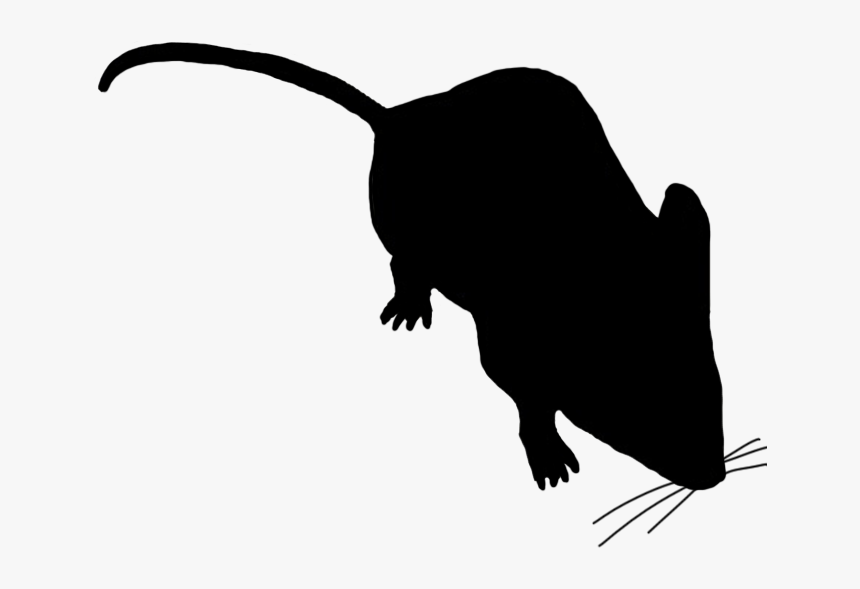 Little Mouse Sniffing Around - Mouse Silhouette No Background, HD Png Download, Free Download