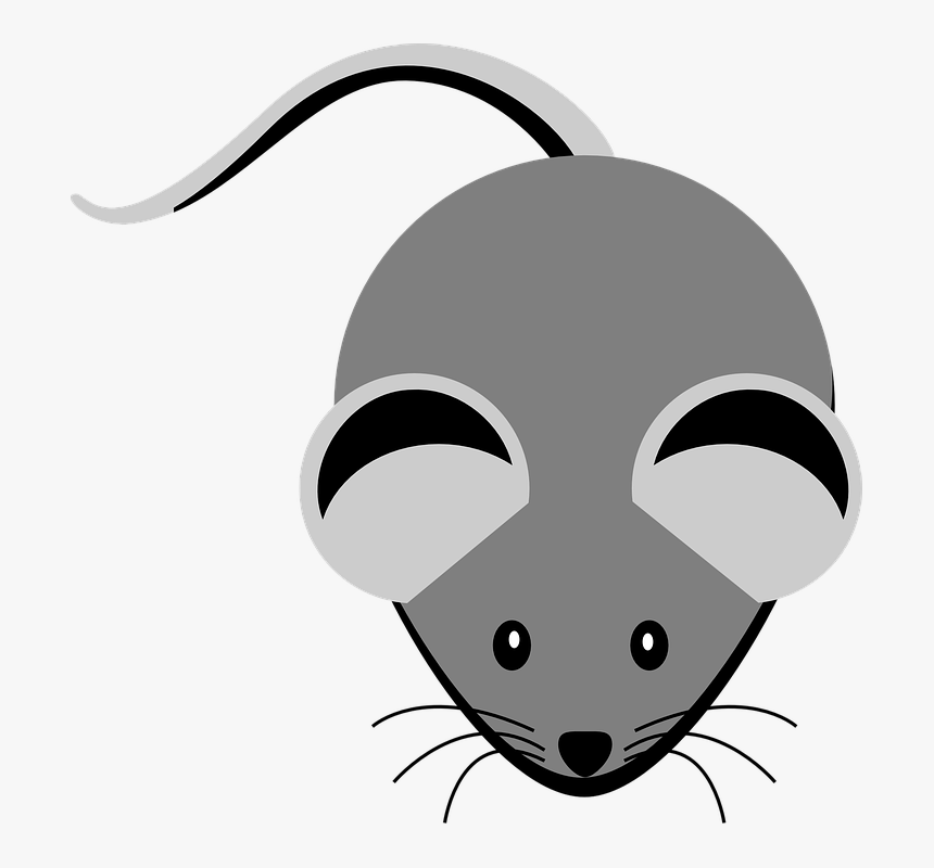 Mouse, Ears, Tail, Nose, Eyes, Cute, Animal, Little - Green Mouse Cartoon, HD Png Download, Free Download