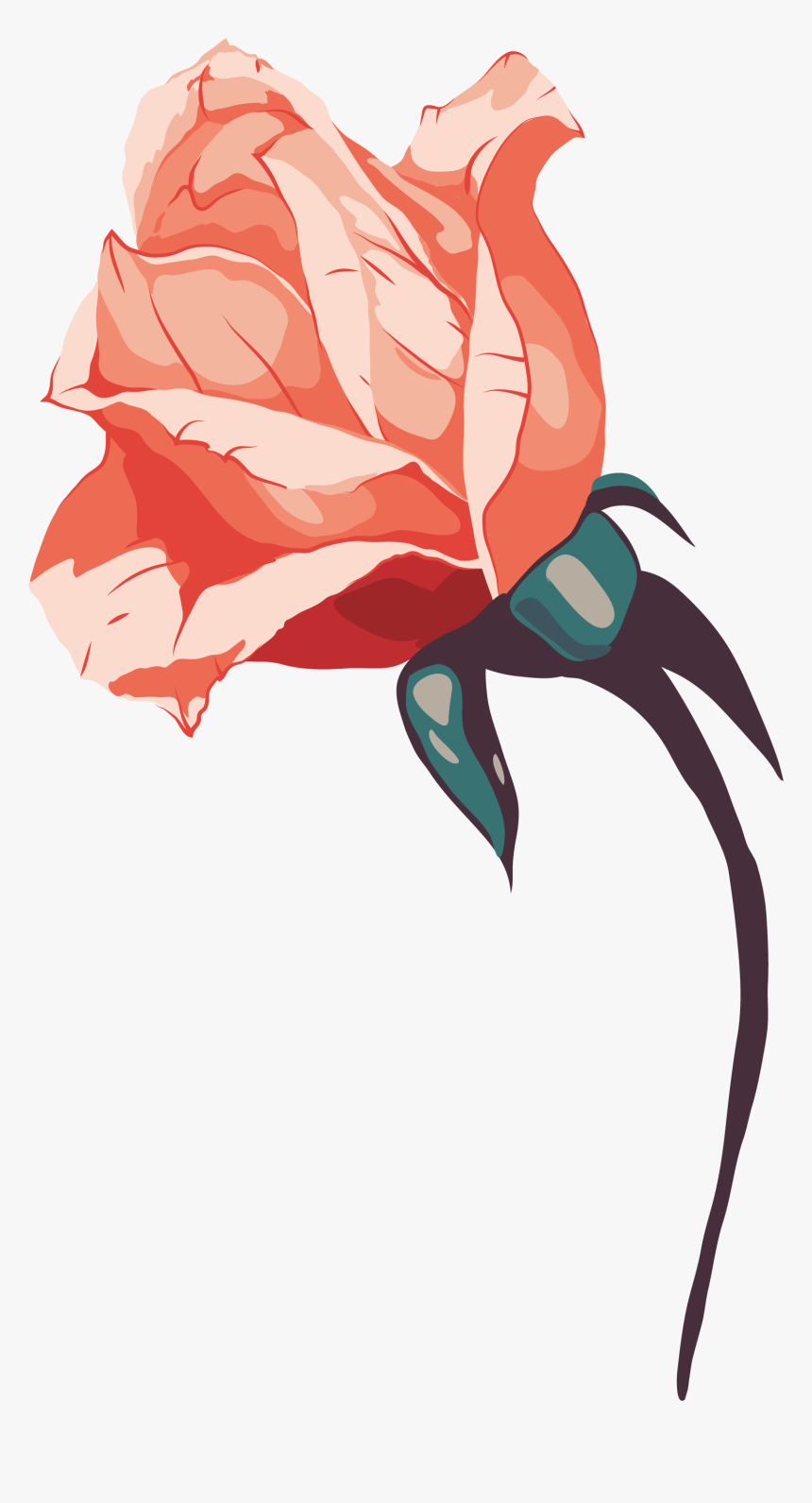 Rose Graphic Png, Transparent Png, Free Download