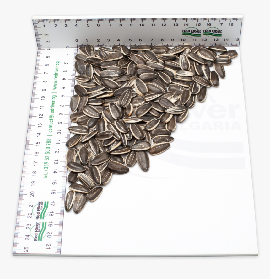 Striped Sunflower Seeds Lt2217 - Sunflower Seed, HD Png Download, Free Download