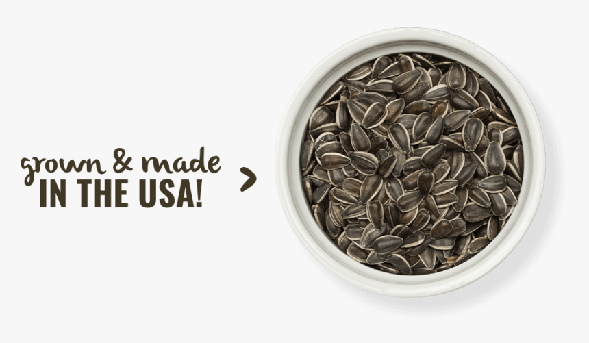 Sunflower Seed, HD Png Download, Free Download