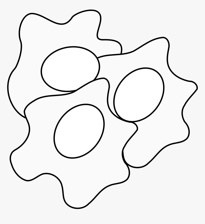 Fried Black And White - Clipart Png Egg Black And White, Transparent Png, Free Download
