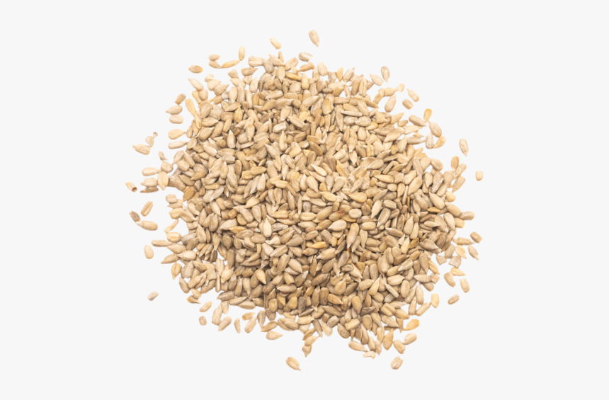 Sunflower Seeds - Emmer, HD Png Download, Free Download