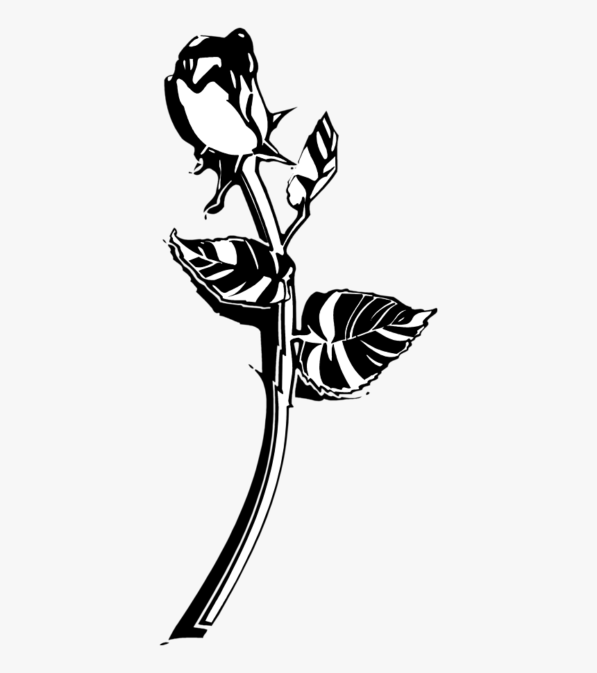 Panda Free Images Blackroseclipart - Black And White Rose Png, Transparent Png, Free Download