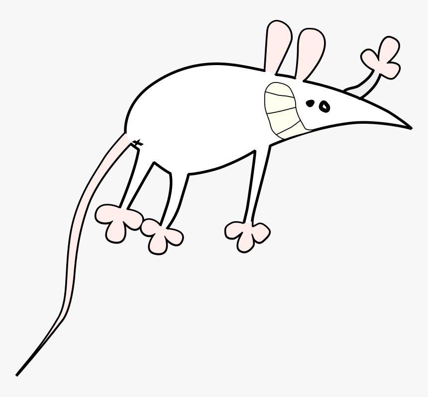 Mouse Cartoon, HD Png Download, Free Download