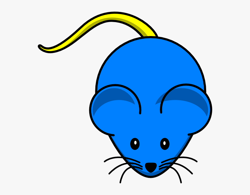 Transparent Red White And Blue Stars Png - Cartoon Mouse Png, Png Download, Free Download