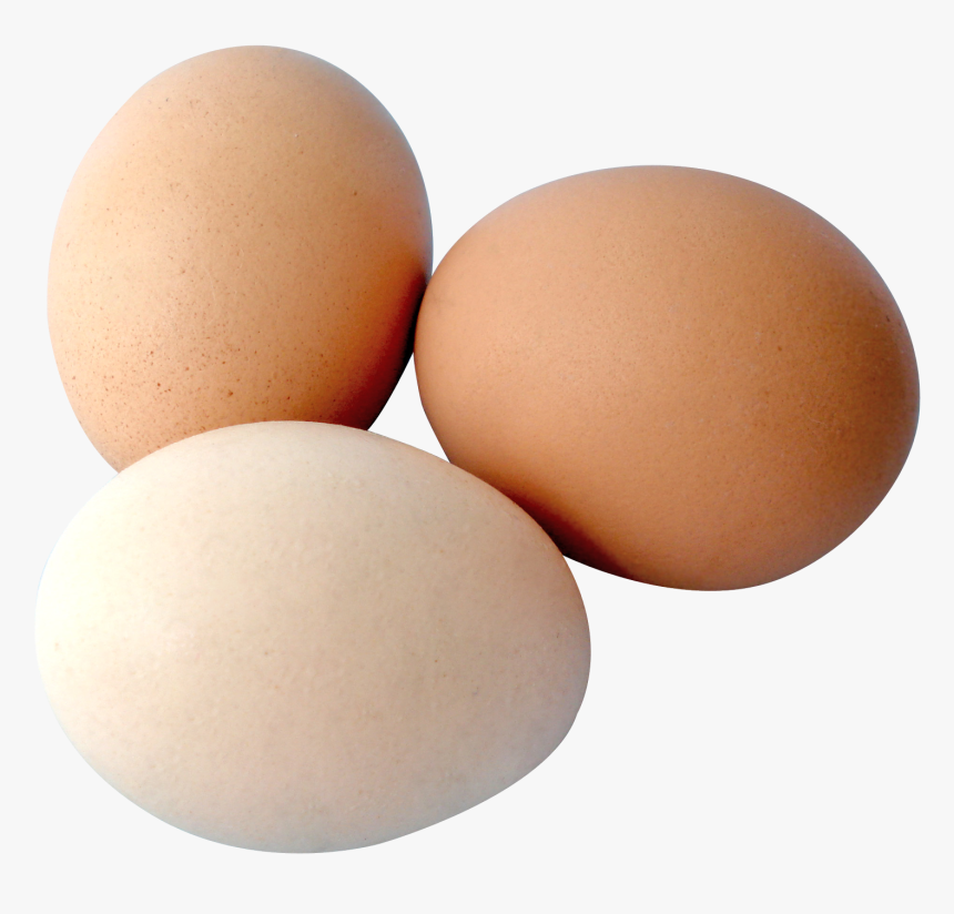 Egg, HD Png Download, Free Download