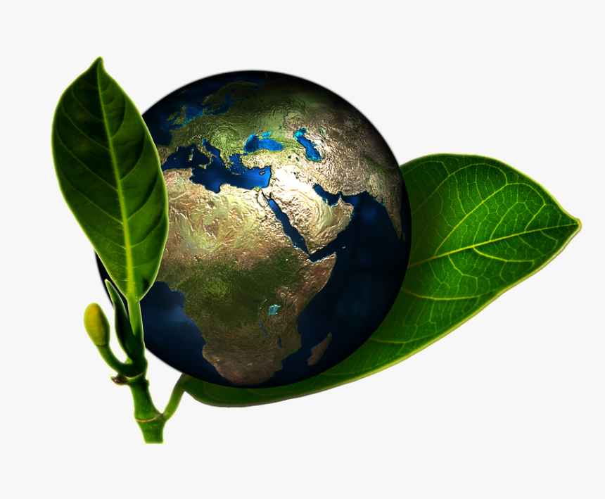 Sustentabilidade E Meio Ambiente Png, Transparent Png, Free Download