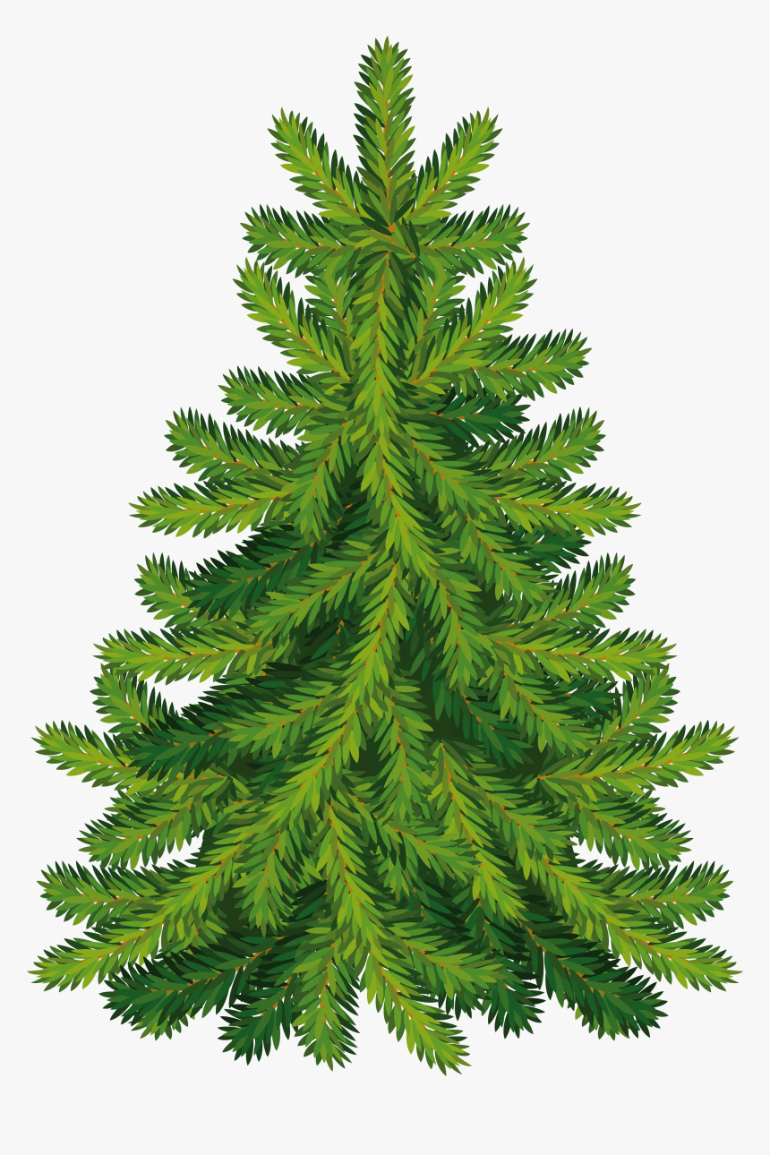 Fir Tree Png Image - Christmas Tree, Transparent Png, Free Download