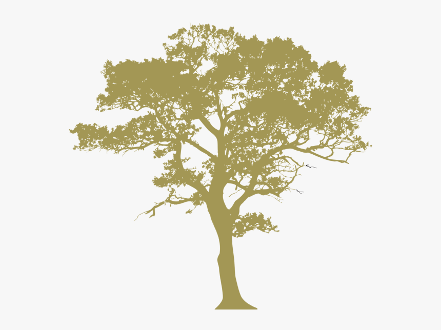 Oak Leaf Png - Transparent Background Tree Silhouette, Png Download, Free Download