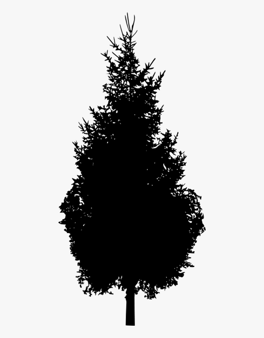 Pine Tree Silhouette Png - Tree Silhouette Png File, Transparent Png, Free Download