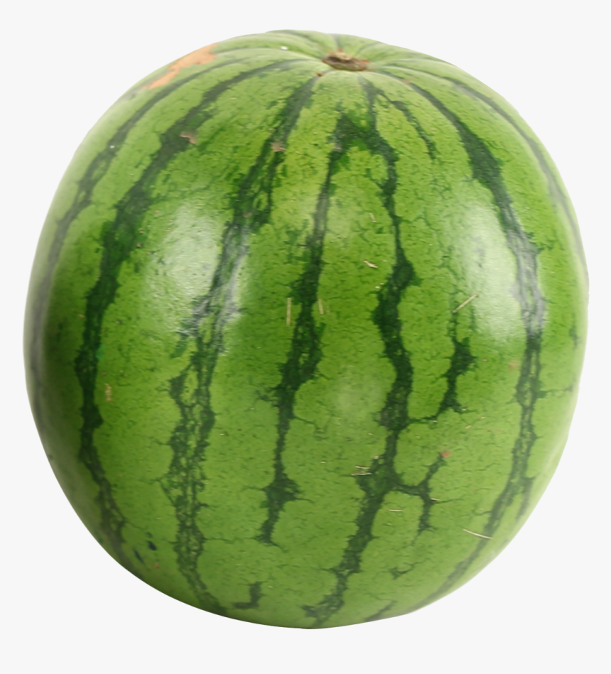 Gourd, And Melon Fruit,local - Watermelon Png, Transparent Png, Free Download