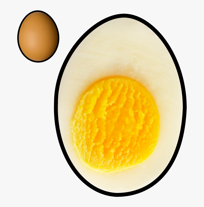 Picture - Egg, HD Png Download, Free Download