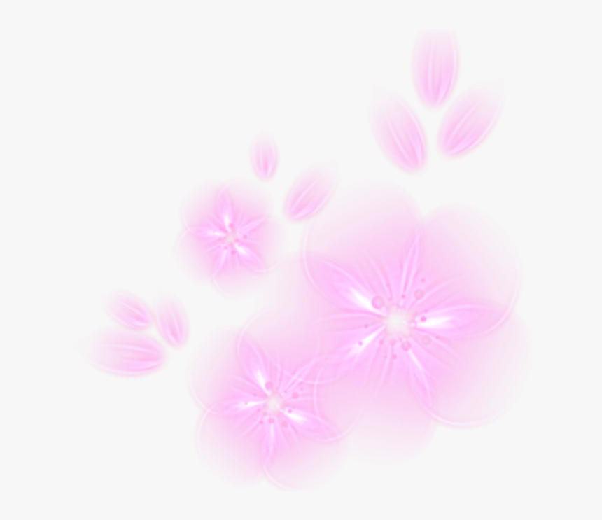 Dianthus, HD Png Download, Free Download