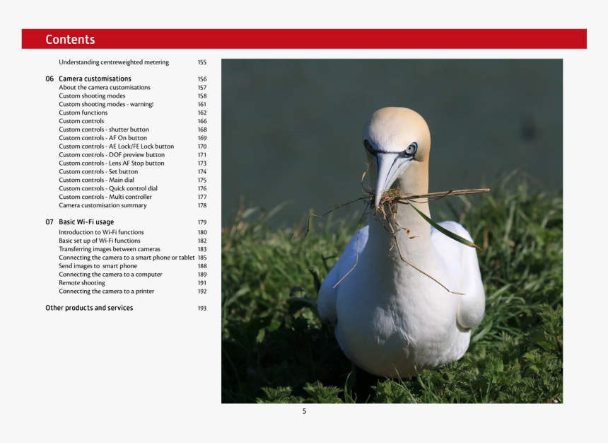 Seabird, HD Png Download, Free Download