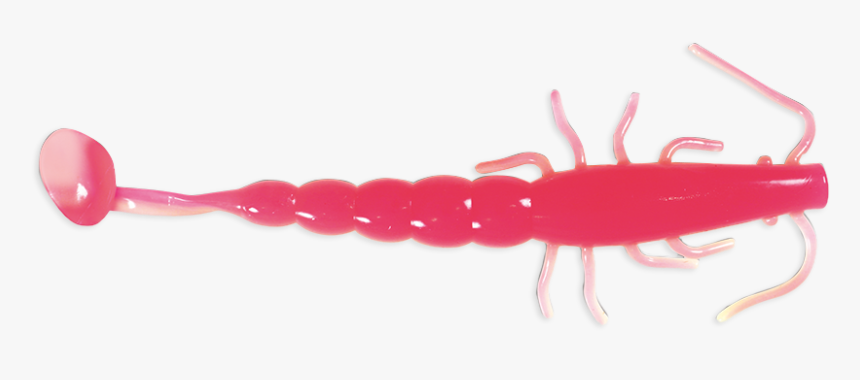 7 Inch Paddle Prawn Pink Glow - Insect, HD Png Download, Free Download