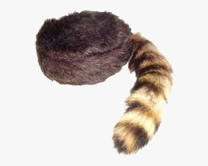 Coon Skin Cap, HD Png Download, Free Download