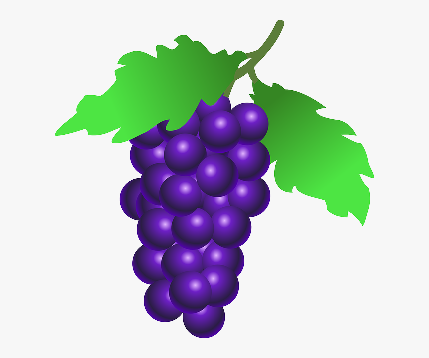Grapes - Bunch Of Grapes Clipart, HD Png Download, Free Download