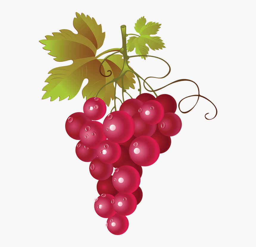 Hop Grape Vines - Red Grapes Png Clipart, Transparent Png, Free Download