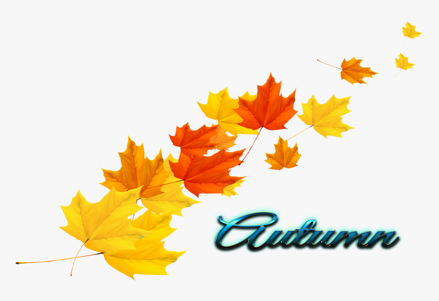 Autumn Leaf Vector Png , Png Download - Vector Autumn Leaves Png, Transparent Png, Free Download