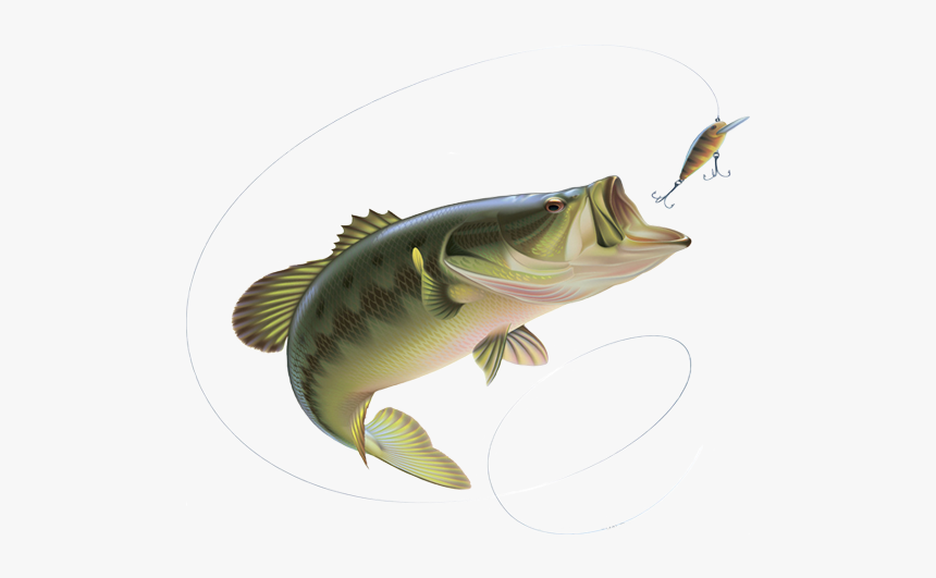 Fishing Pole Transparent - Fishing Rod Png Transparent, Png Download, Free Download