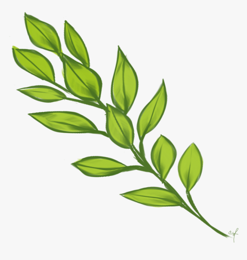 Transparent Laurel Branch Png, Png Download, Free Download