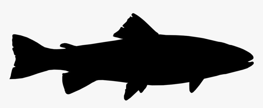 Free Vector Graphic - Trout Silhouette, HD Png Download, Free Download