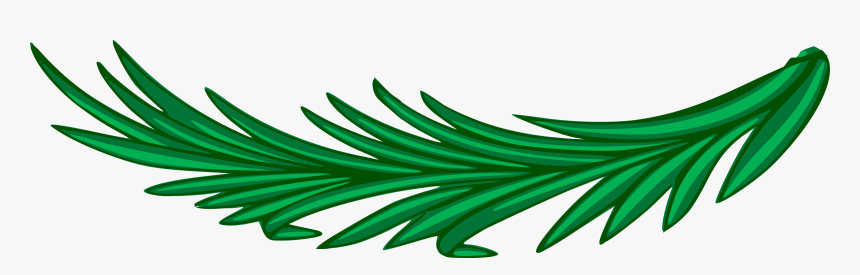 Branch, Laurel, Leaf, Leafy, Leaves, Plant - Ramas De Laurel Png, Transparent Png, Free Download