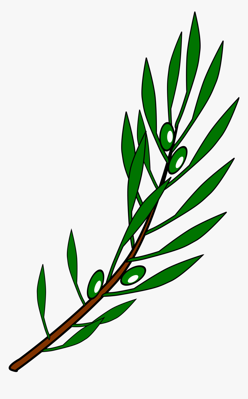 Olive Branch Vector Png - Olive Branch Drawing Png, Transparent Png, Free Download